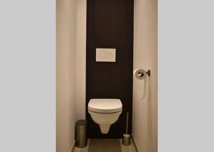 Vernieuwd Op 200m De Zee Ostende